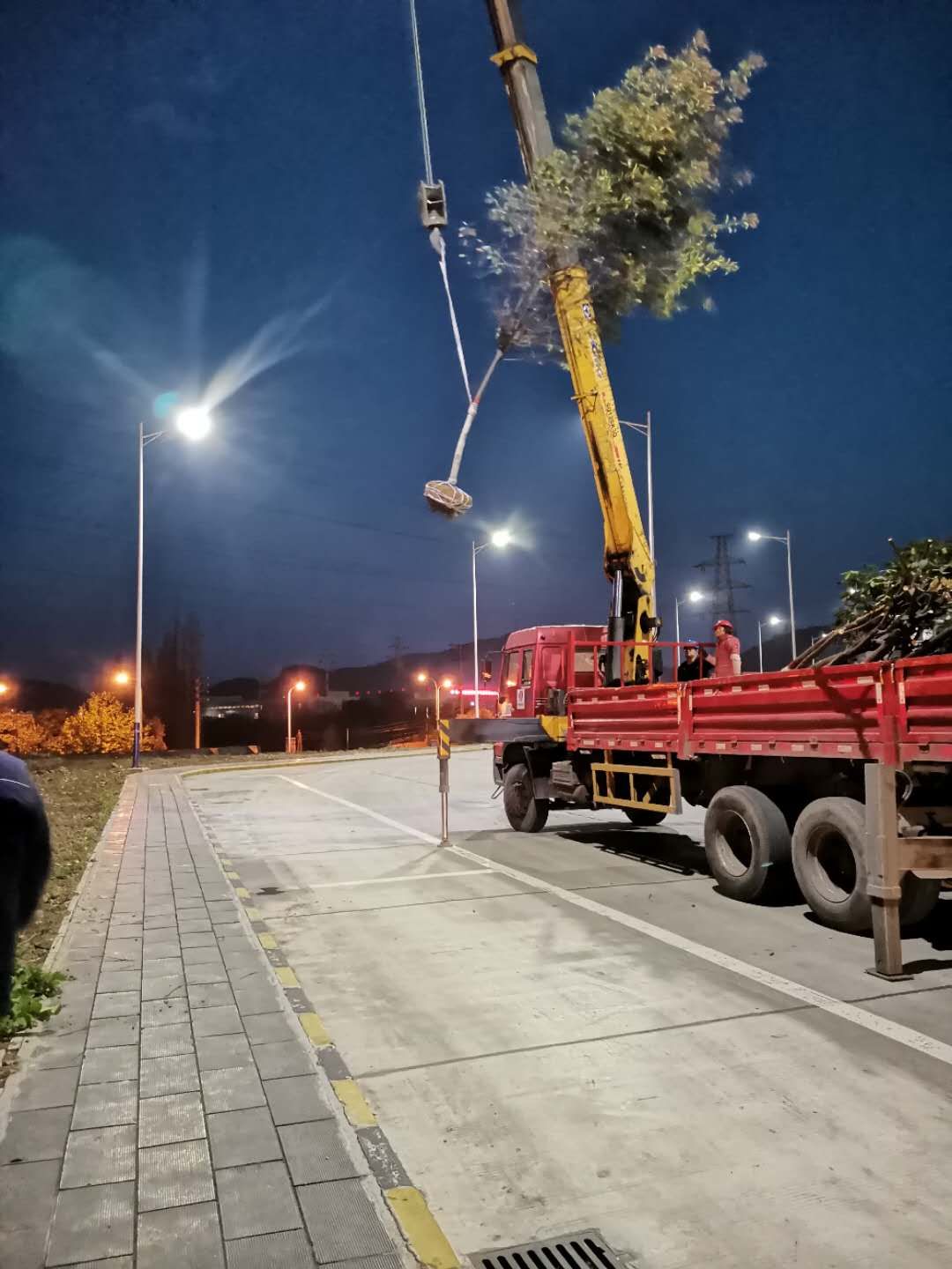 細節之處顯作風--植樹節活動有感 細節之處顯作風--植樹節活動有感