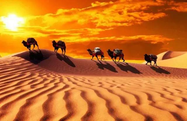 �����҂��ġ��z�I֮·��