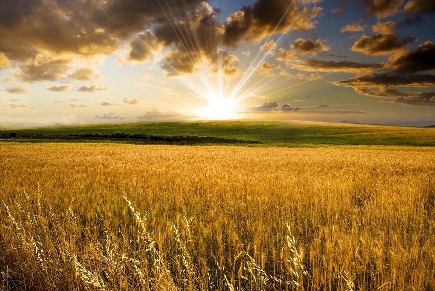 �x��������������ߡ��и�