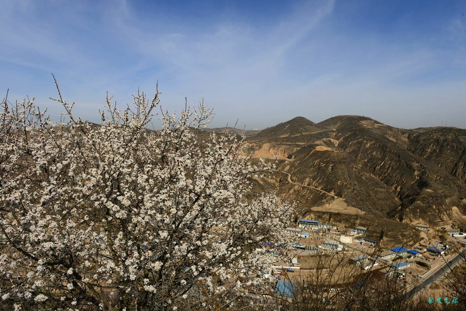 蕭鼓追隨春社近 脫貧攻堅氣象新