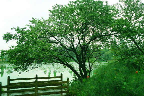 播撒希望  收獲成長(zhǎng)