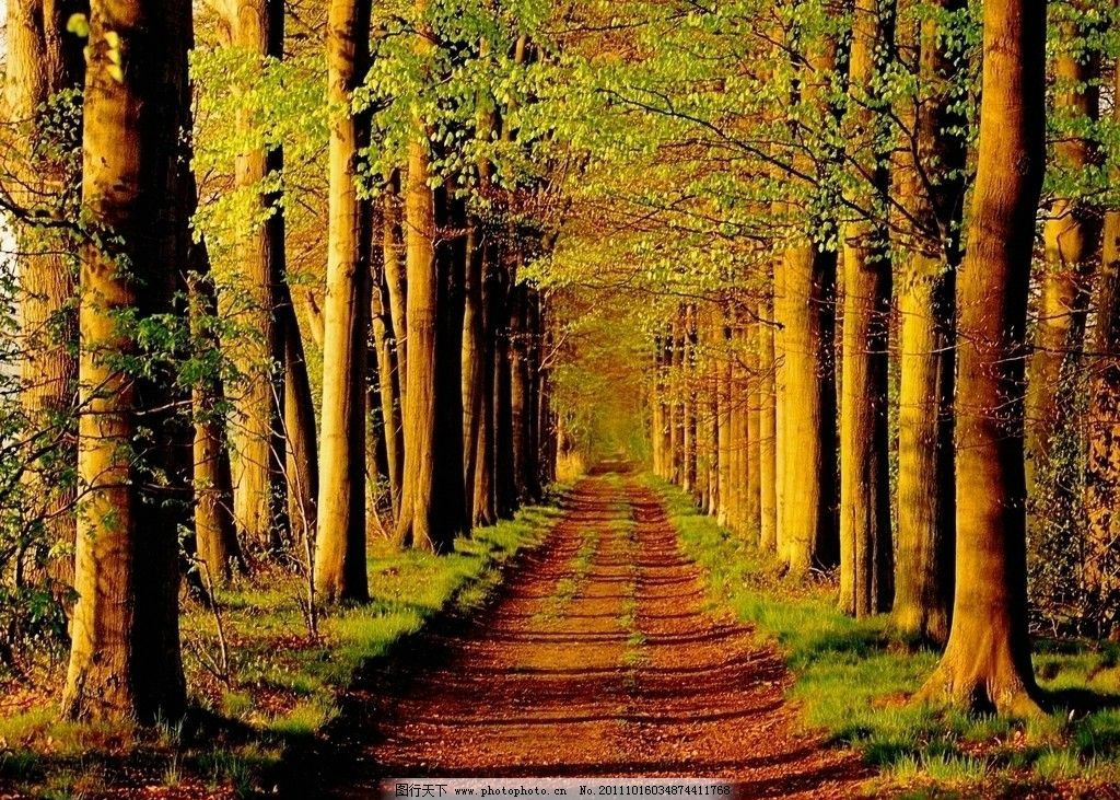 年華似水流，未忘來時路