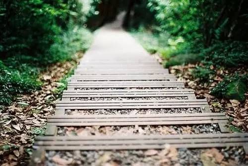 人心本無染，心靜自然清