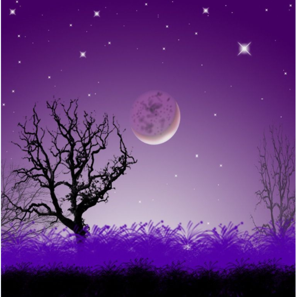 落月?lián)u情，難留那年春江