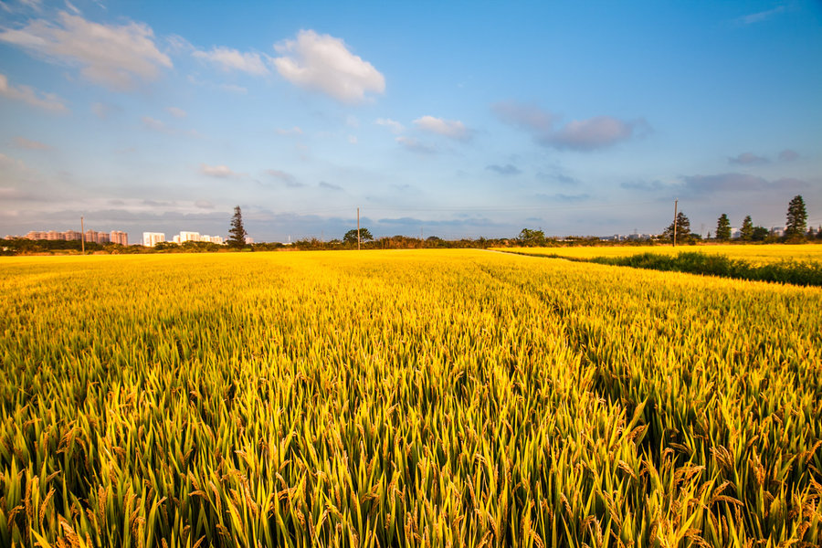 �ֵ������h��r