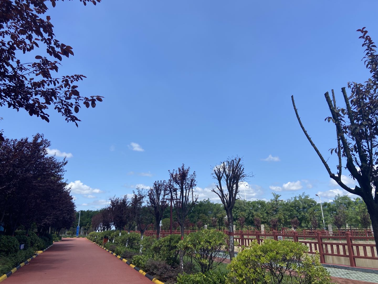 又到風起葉落時！漢鋼那么美，我想帶你去看看