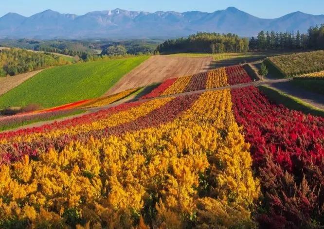 秋來時，風依然暖