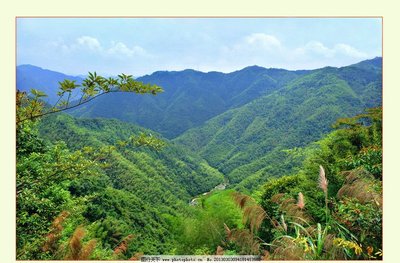 燕子回時 燕子回時