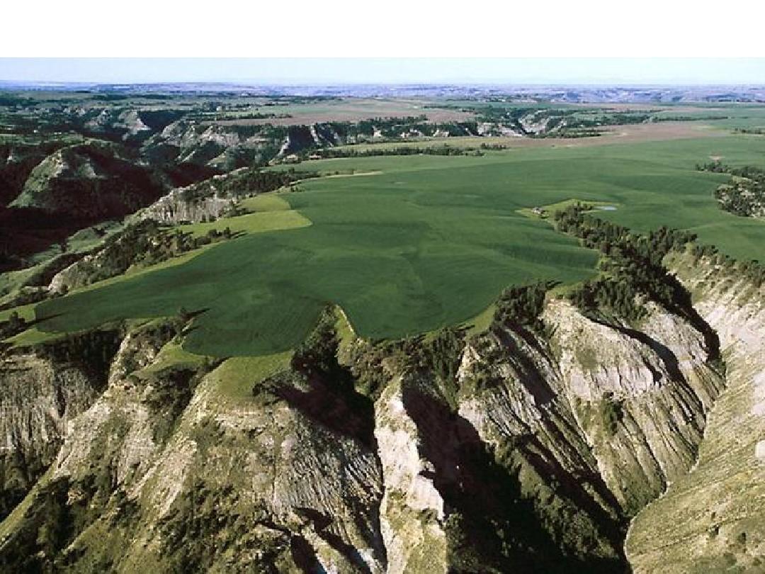 荒山變成了金山銀山 荒山變成了金山銀山