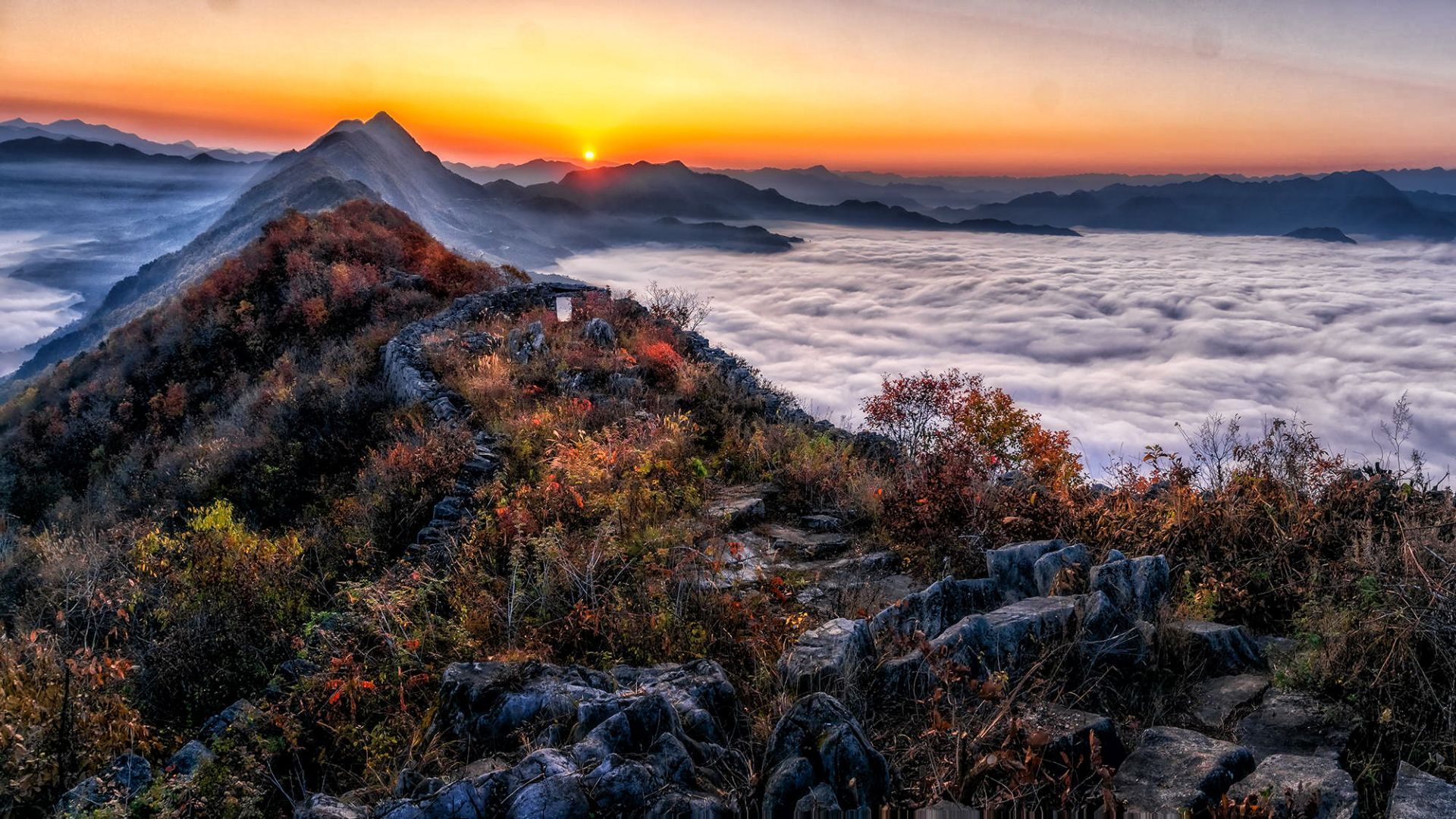 云橫秦嶺家常在