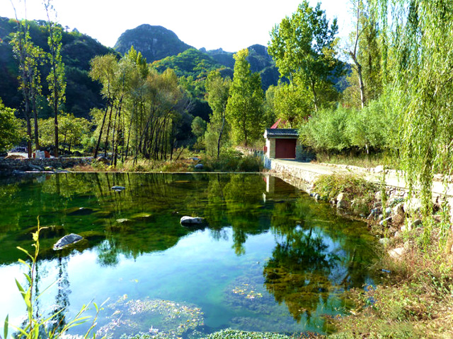 �������Ȼ�ġ��������W��