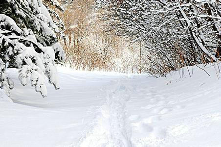 冬景似春華，莫負好時光