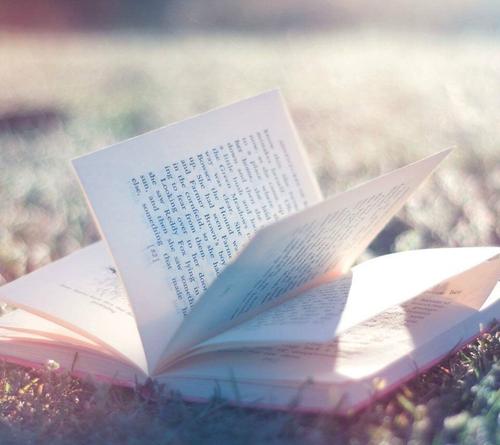 萬卷書香，逐夢向遠