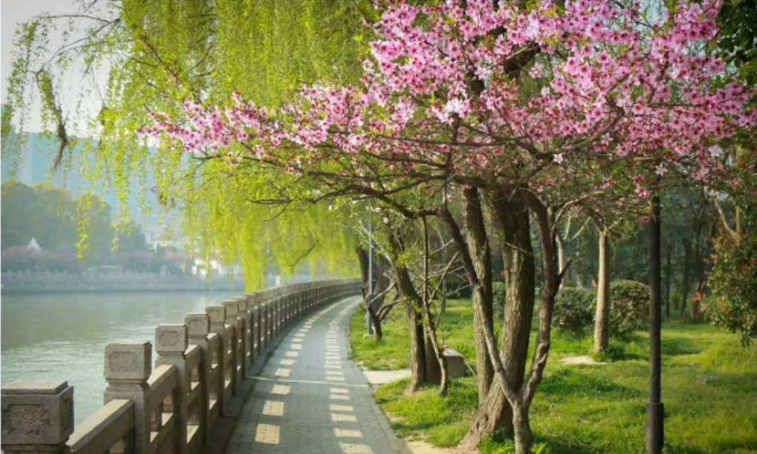 春季到來，花季盛開，三月撩人時(shí)節(jié)