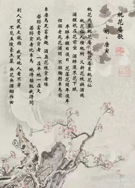 想和你，看一場桃花盛開