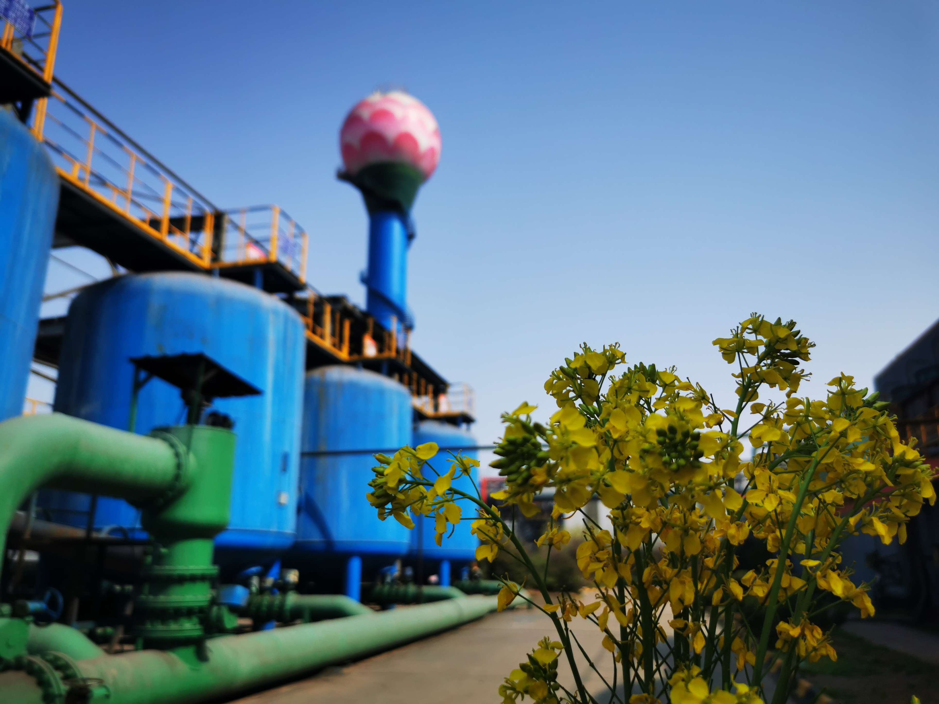 邀您“打卡”煉鋼之春 邀您“打卡”煉鋼之春