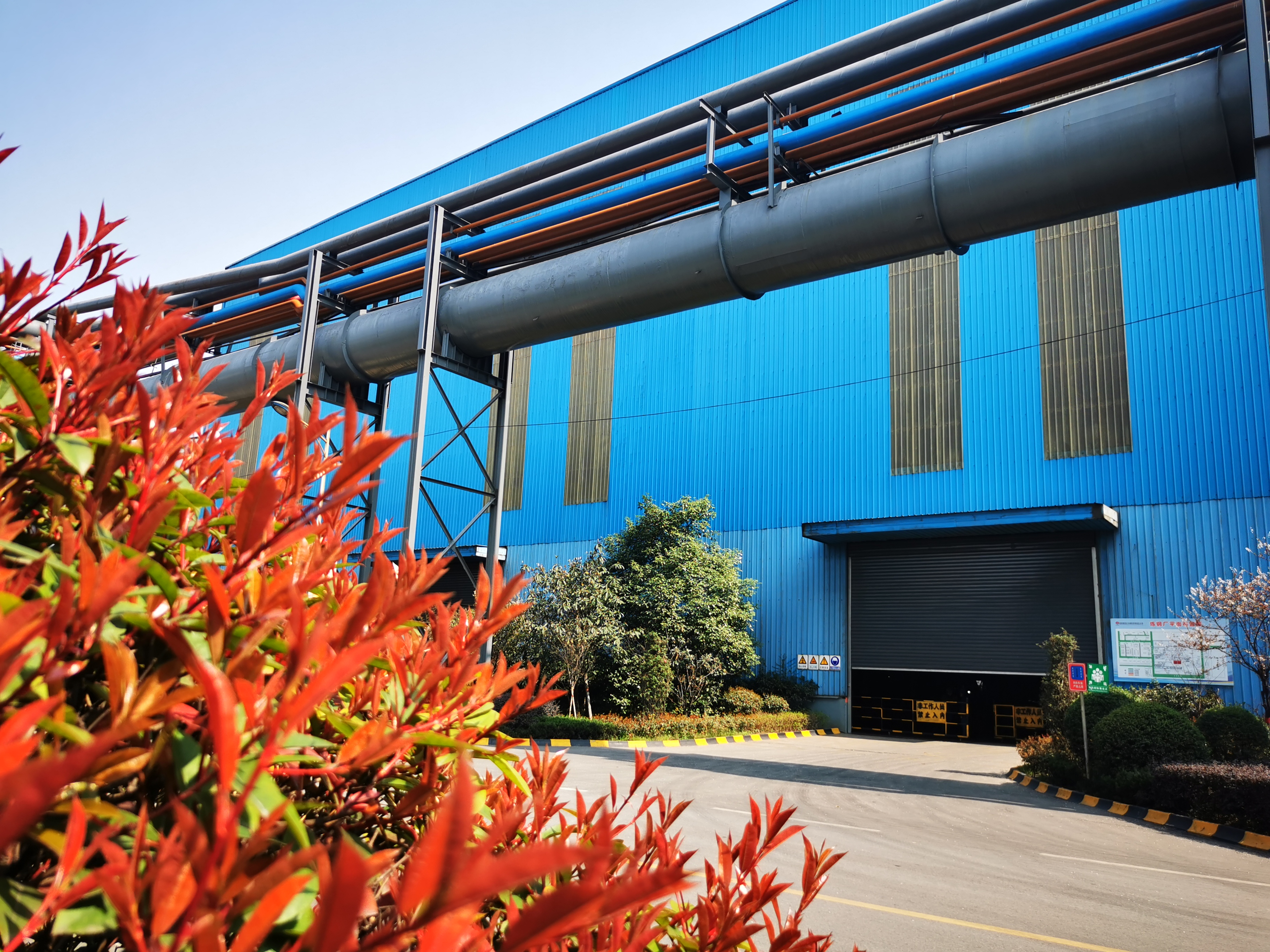 邀您“打卡”煉鋼之春 邀您“打卡”煉鋼之春