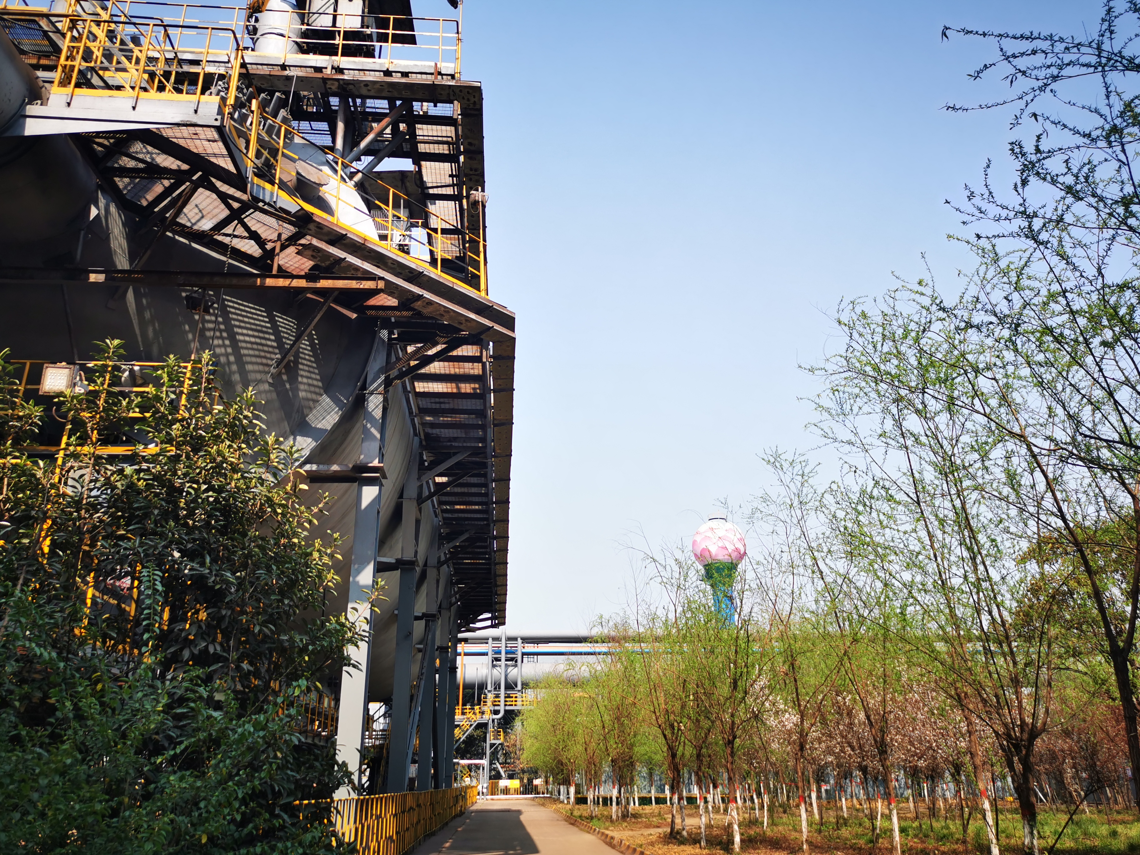 邀您“打卡”煉鋼之春 邀您“打卡”煉鋼之春