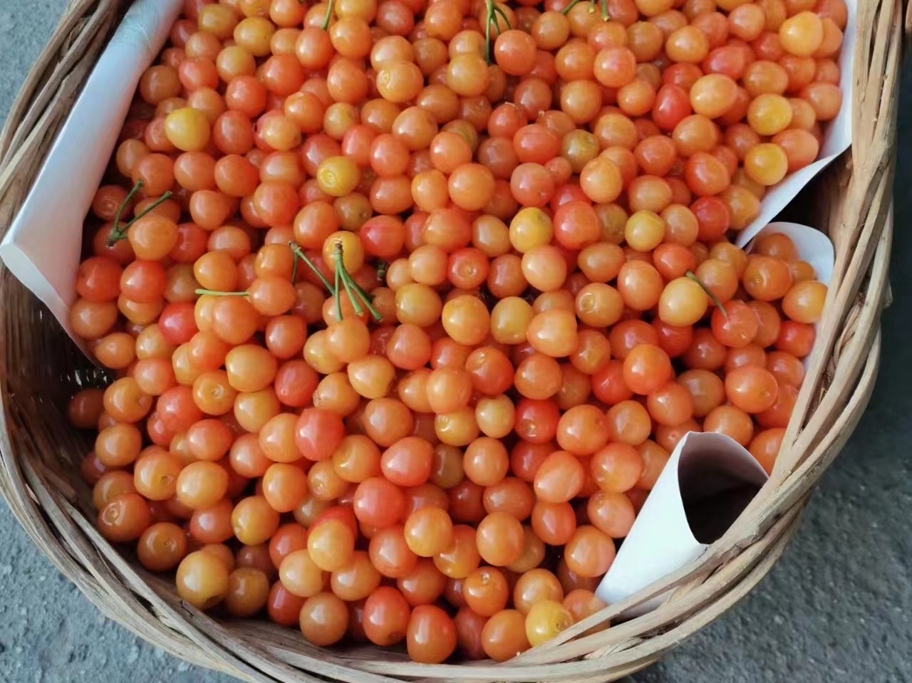 ���Ҽt�r�����