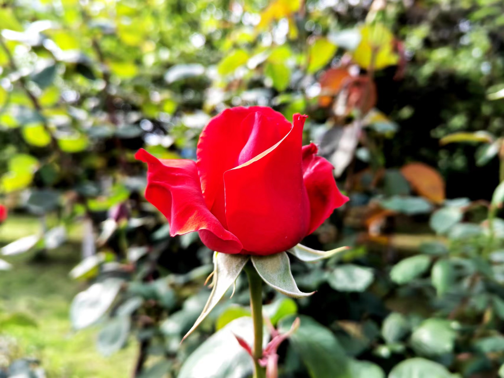 ����̼t���I��䓳�֮��