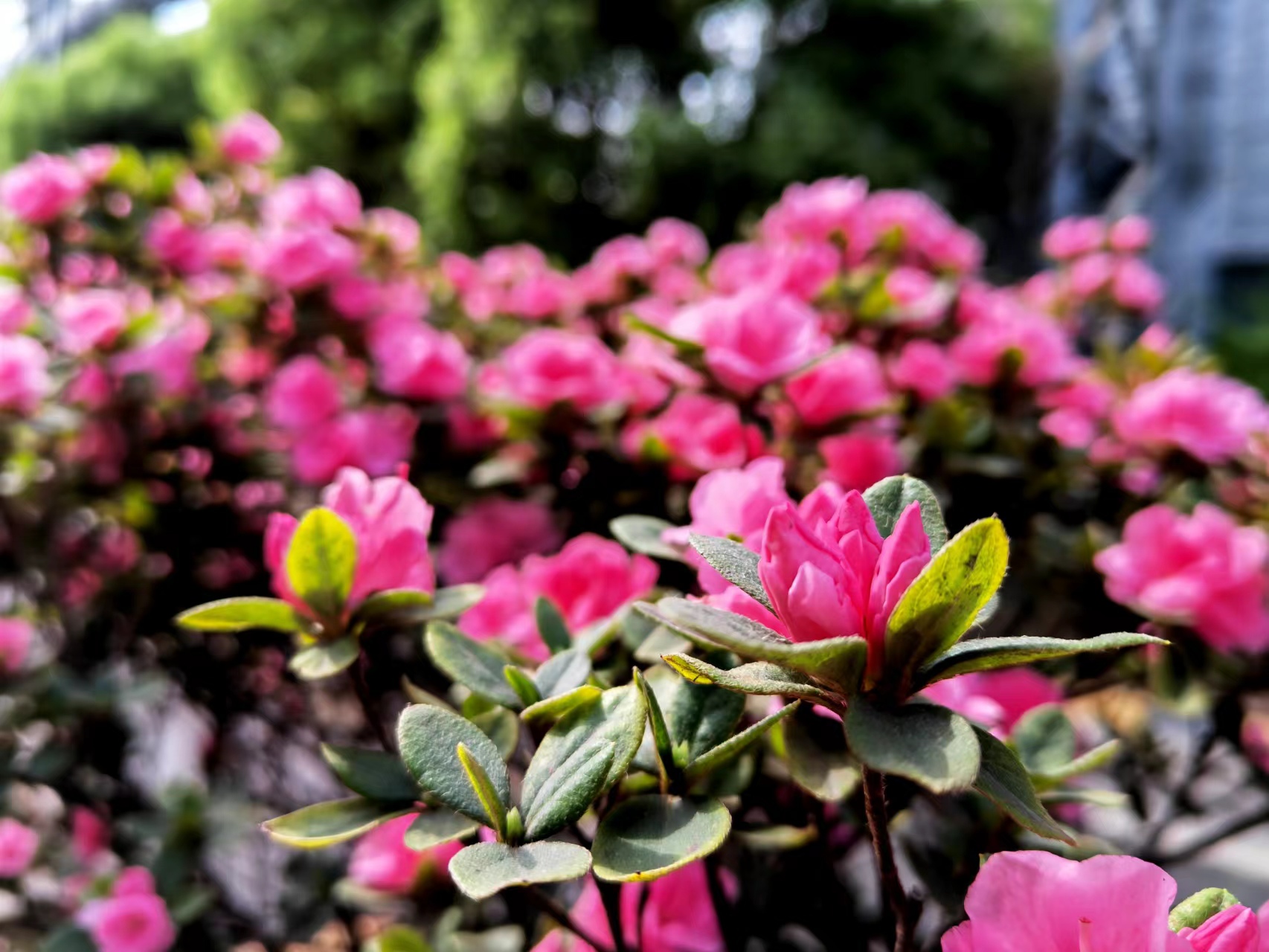 ����̼t���I��䓳�֮��