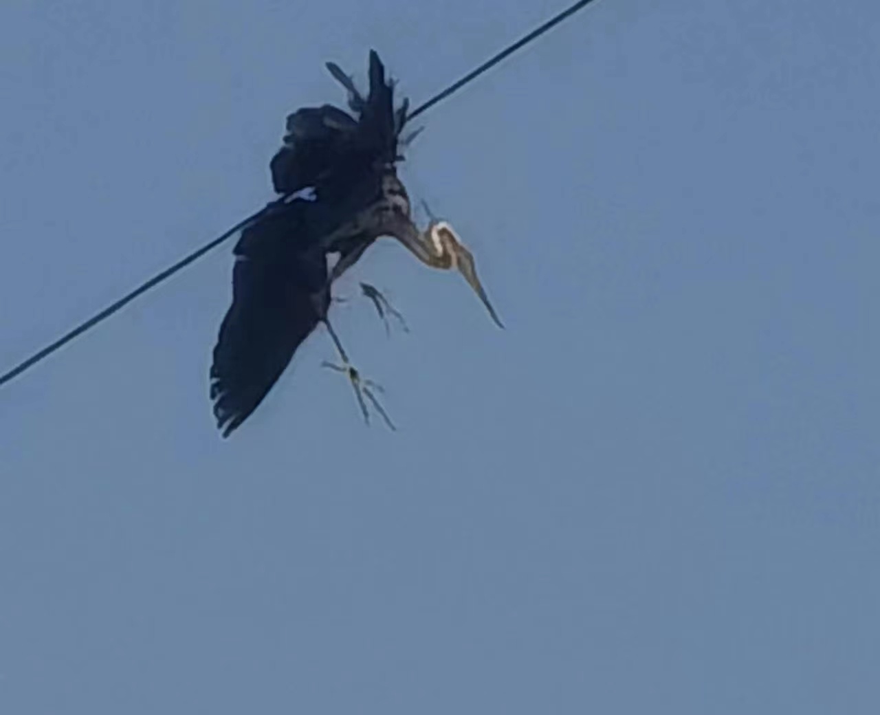 �h䓹����o��ϵ���n��  ��h���ﱣ�oվ�����cٝ��