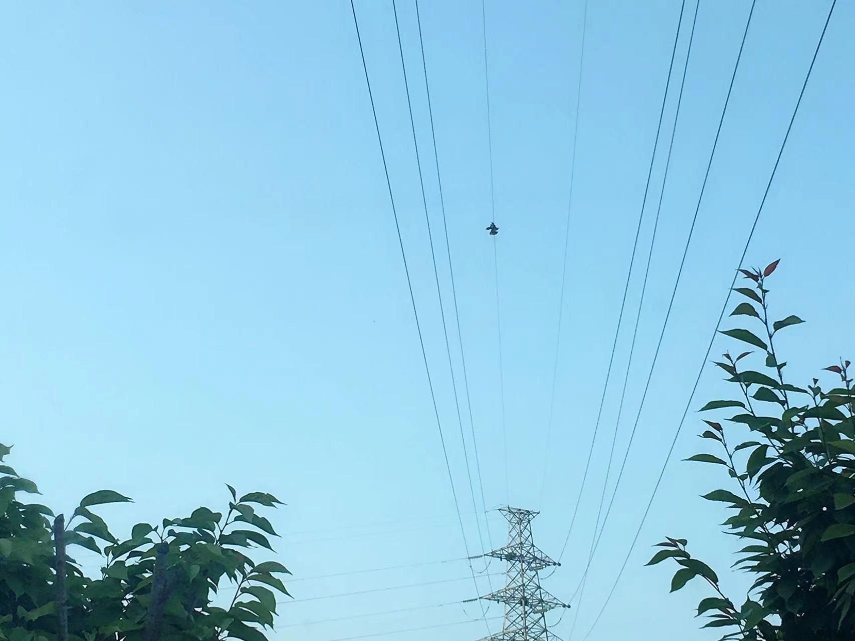 �h䓹����o��ϵ���n��  ��h���ﱣ�oվ�����cٝ��