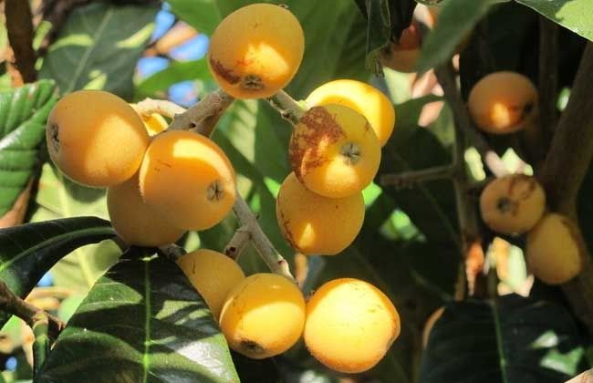 䓳�����������