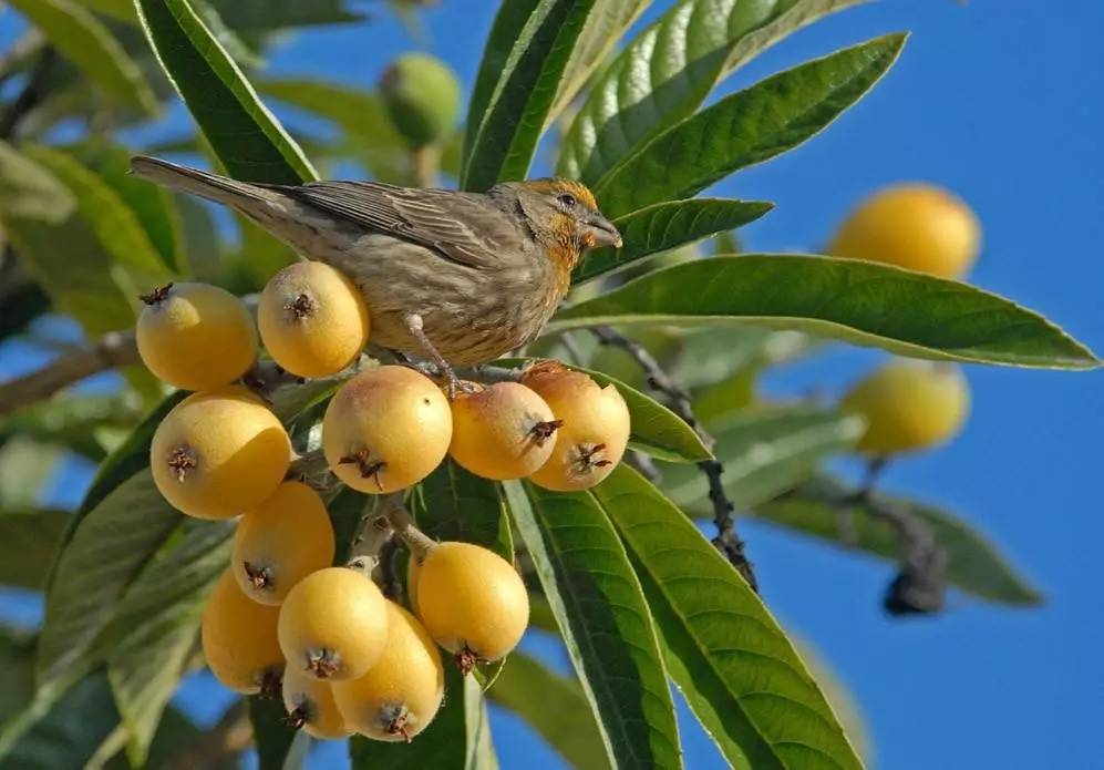 䓳�����������