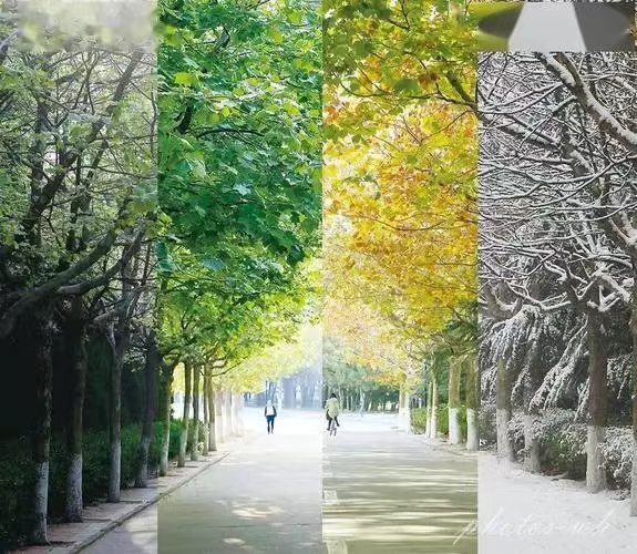 �ļ��ļ��l(xi��ng)