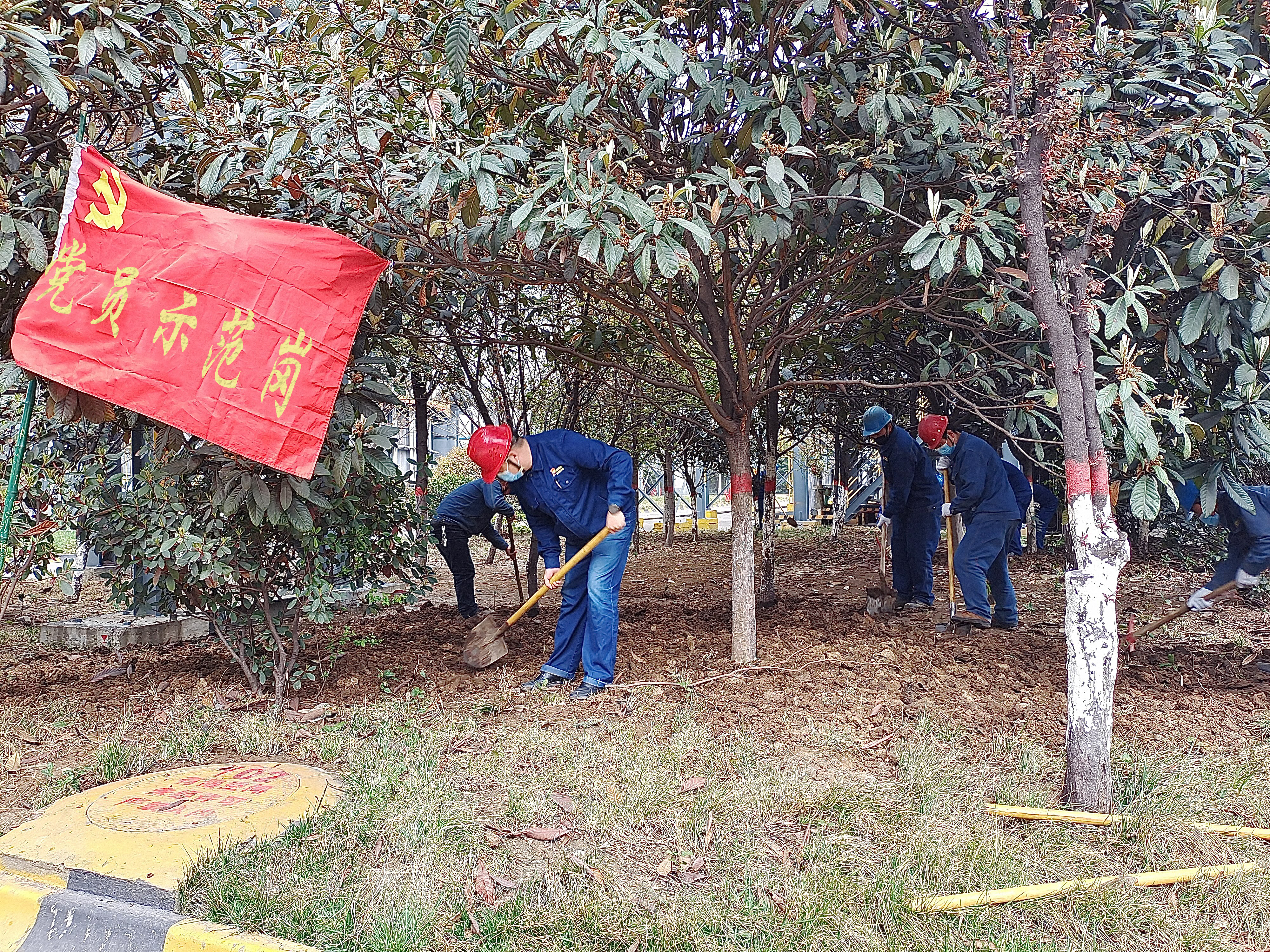 �@���h�Tʾ���� �ܸܵΣ�