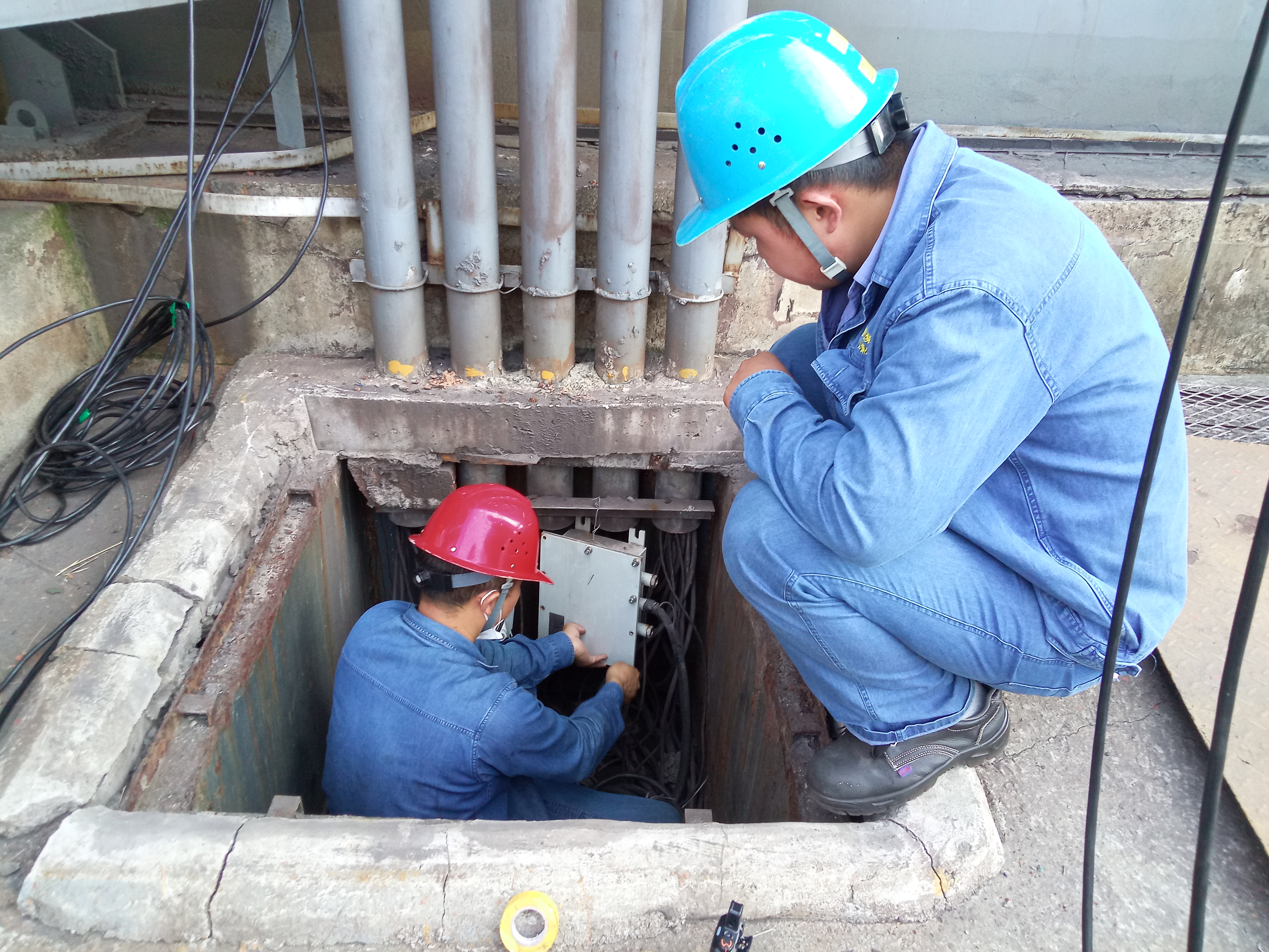 �����ģ����¡����L���˲ų��L�{�D