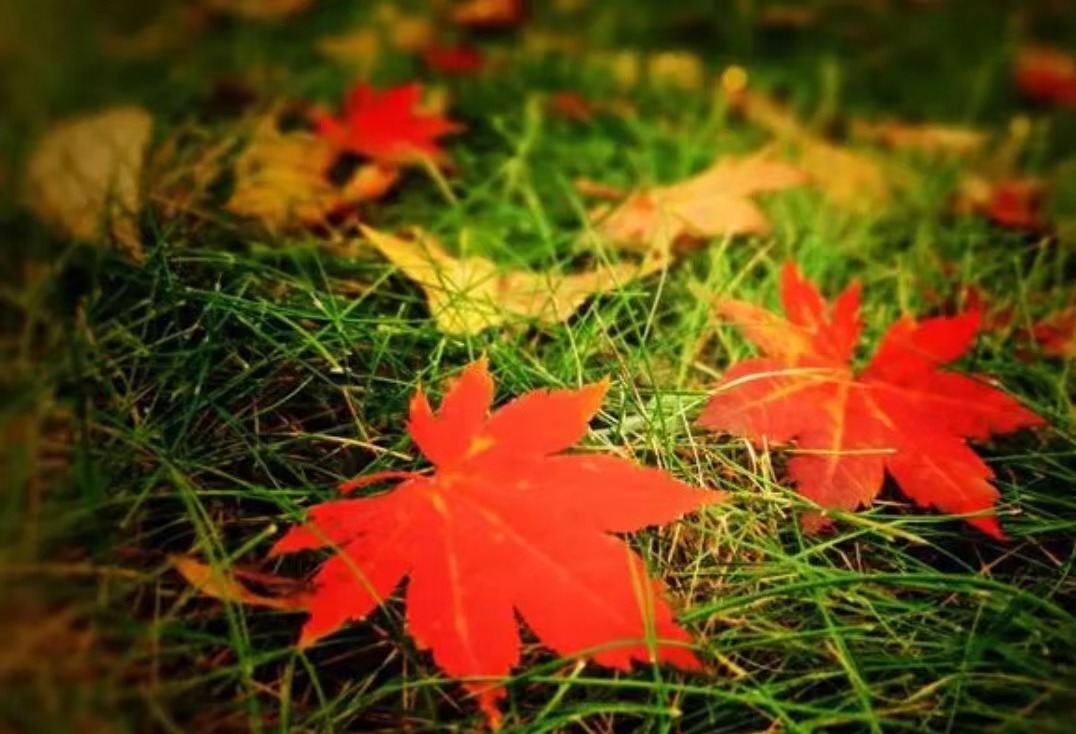 һ�~��r������