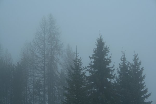 ��ʎɽ��������Z