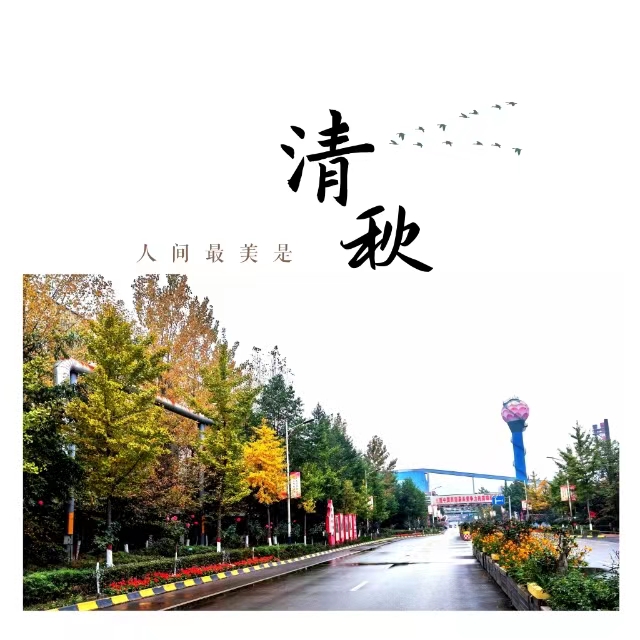 ���۽��Ǯ�����ʮ��䓳ǡ����ӡ�����