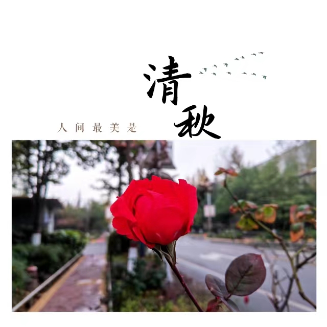 ���۽��Ǯ�����ʮ��䓳ǡ����ӡ�����