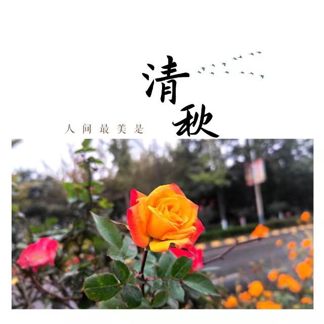 ���۽��Ǯ�����ʮ��䓳ǡ����ӡ�����