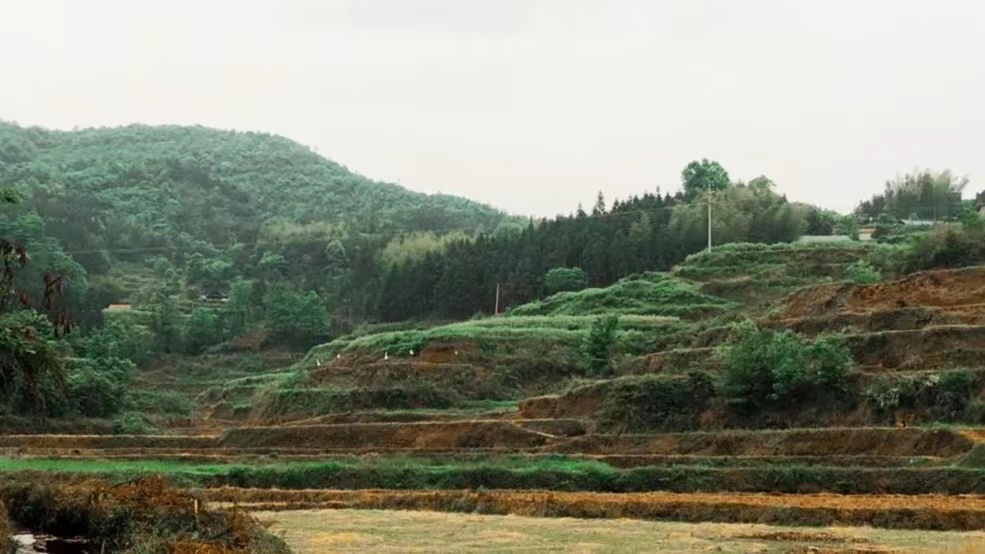 �ַ�����r