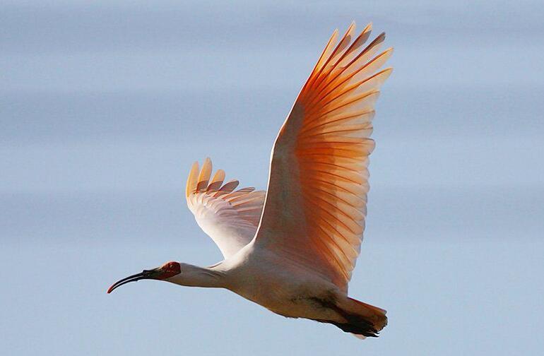 �@����ҵ�������ļ�