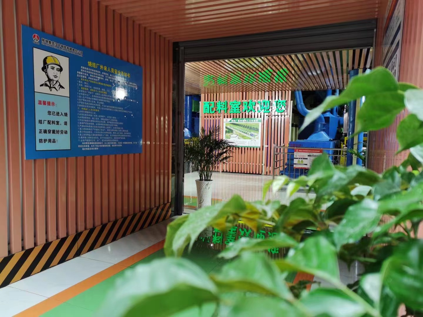 �õ�̼����֮�P�L�Gɫ���Y�{�D