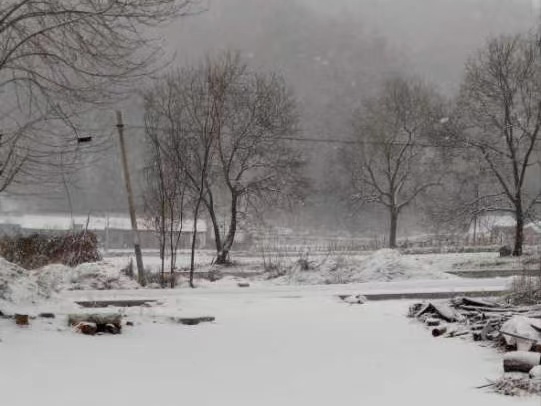 ѩ����f���l��