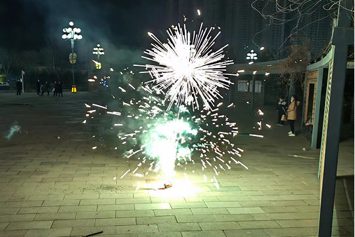 ������ğ����