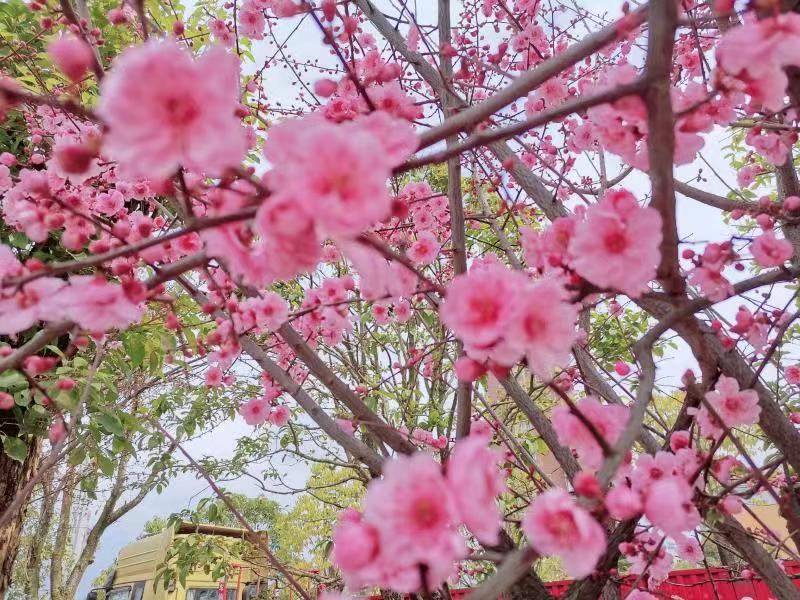 �c�����ط�