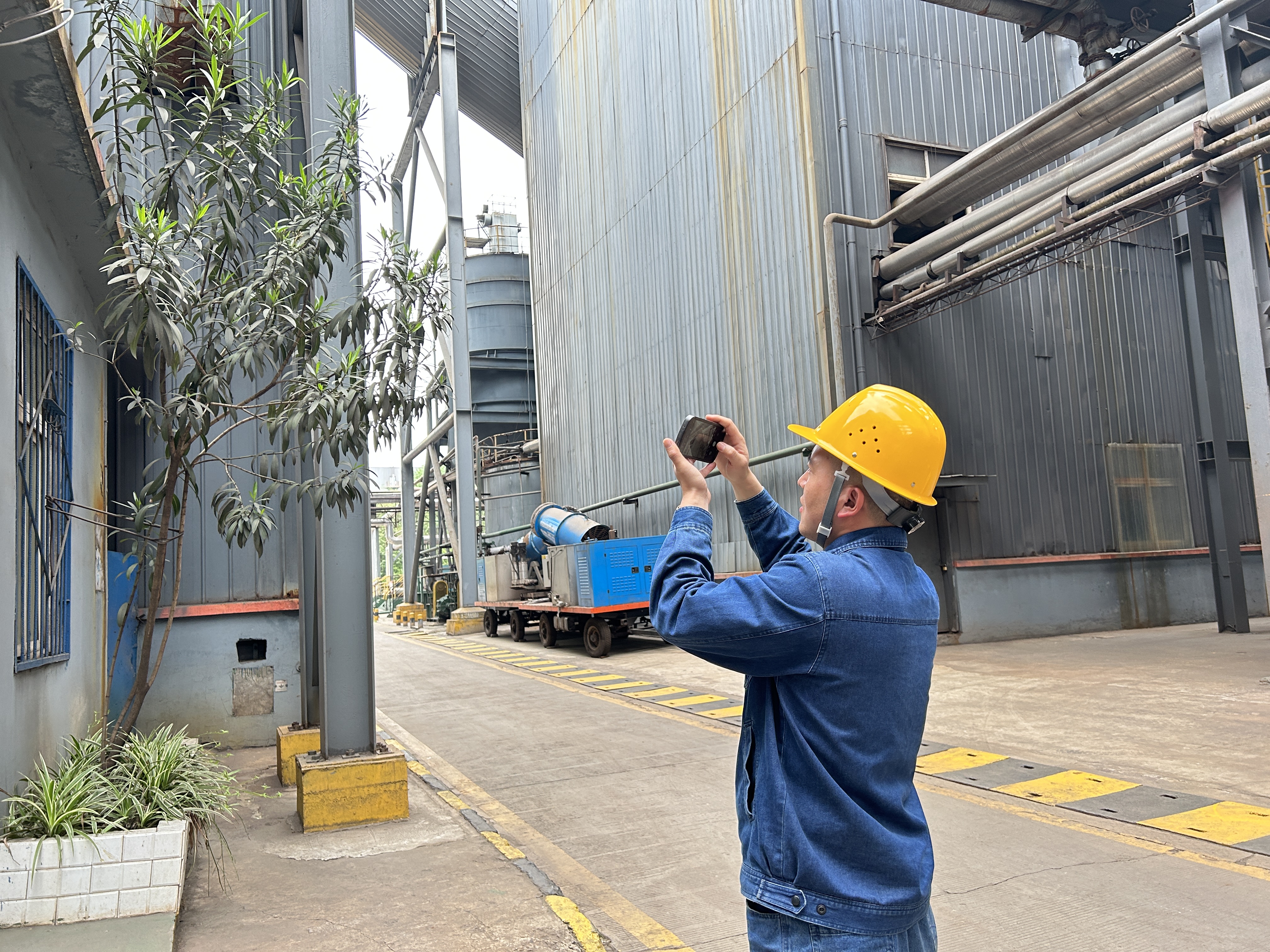 �o��Ŀ��(bi��o)���ɱ�  �������������