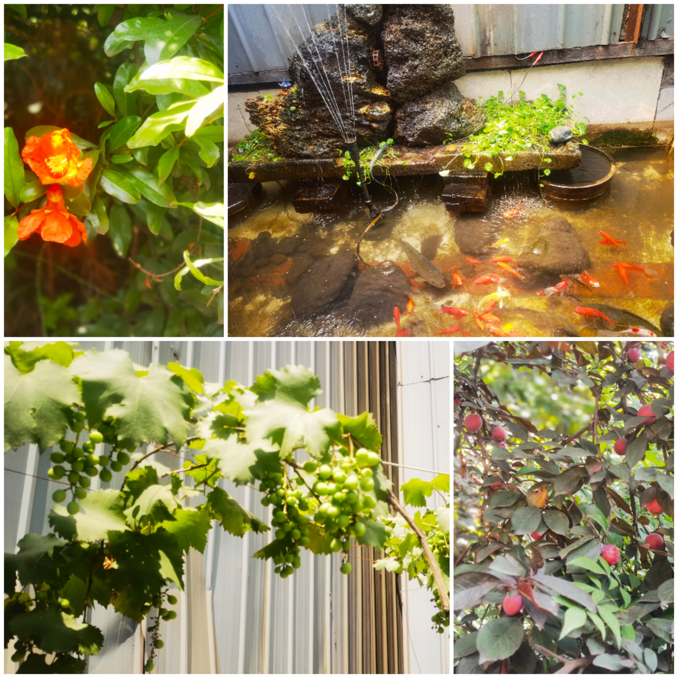 ���o�����Y�{�������i�h���ǻ��ܴa