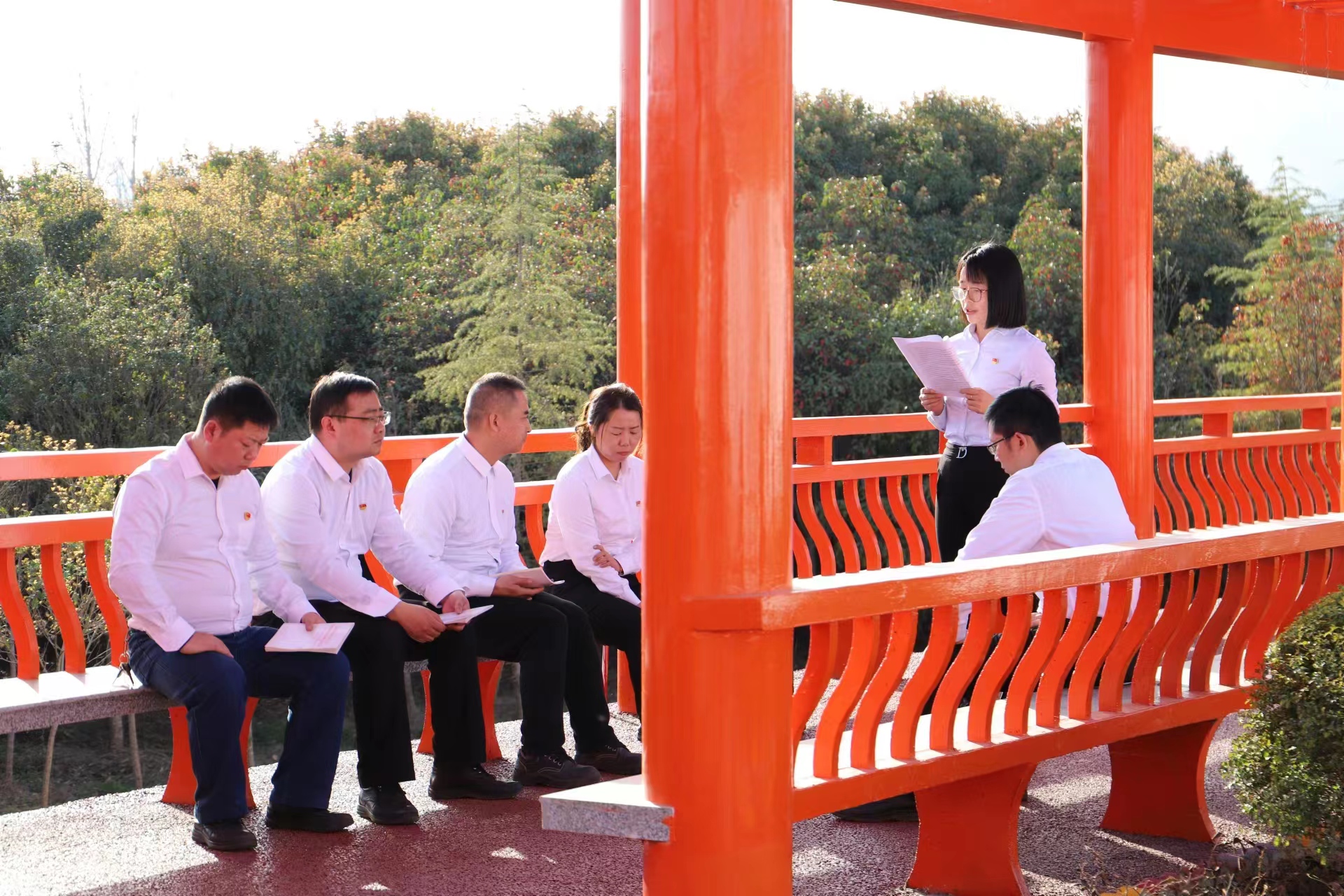 ��ζ���ײ͡���׌���}������������ζ��