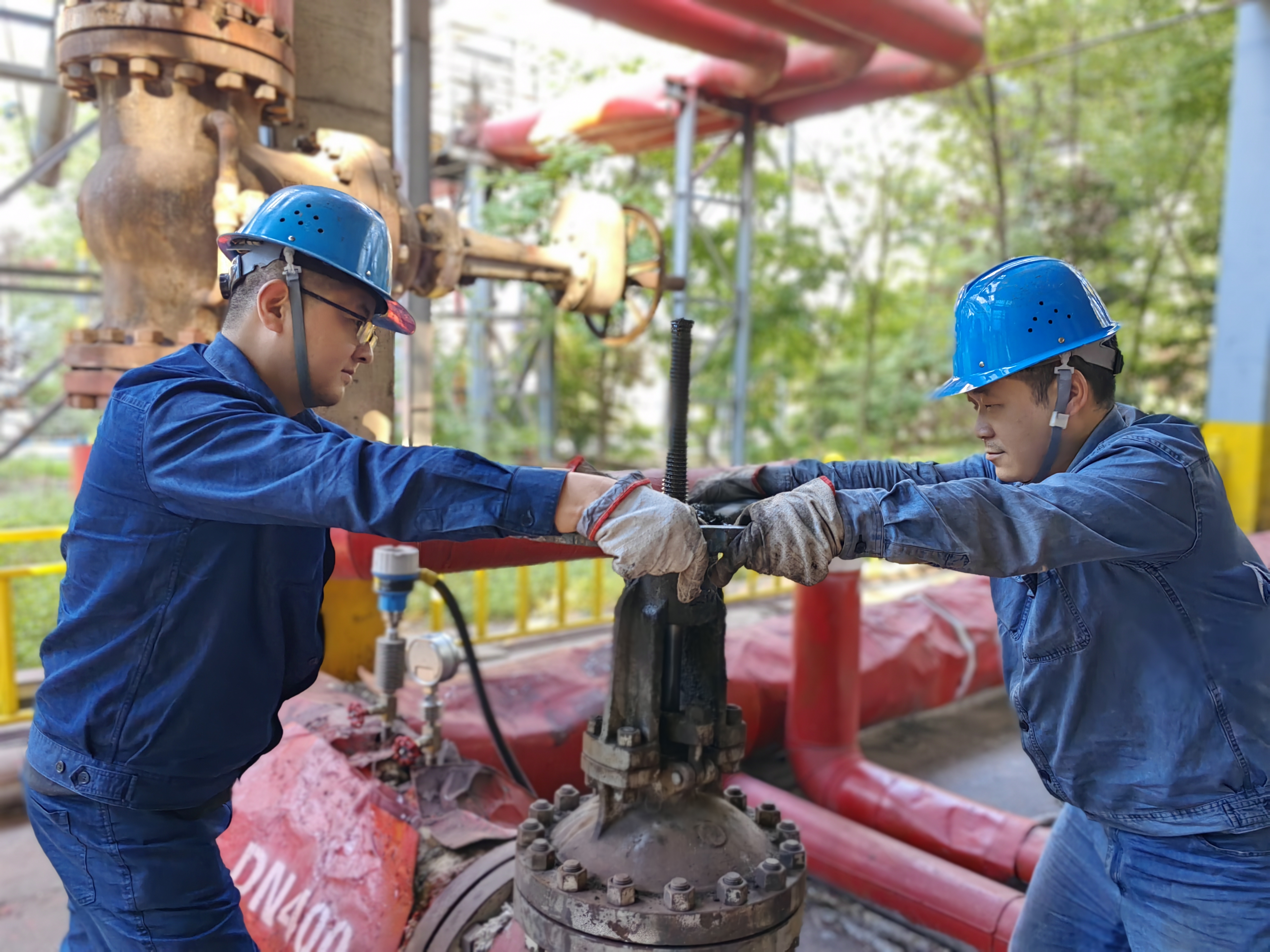 ���£���Ч����������������Ů���