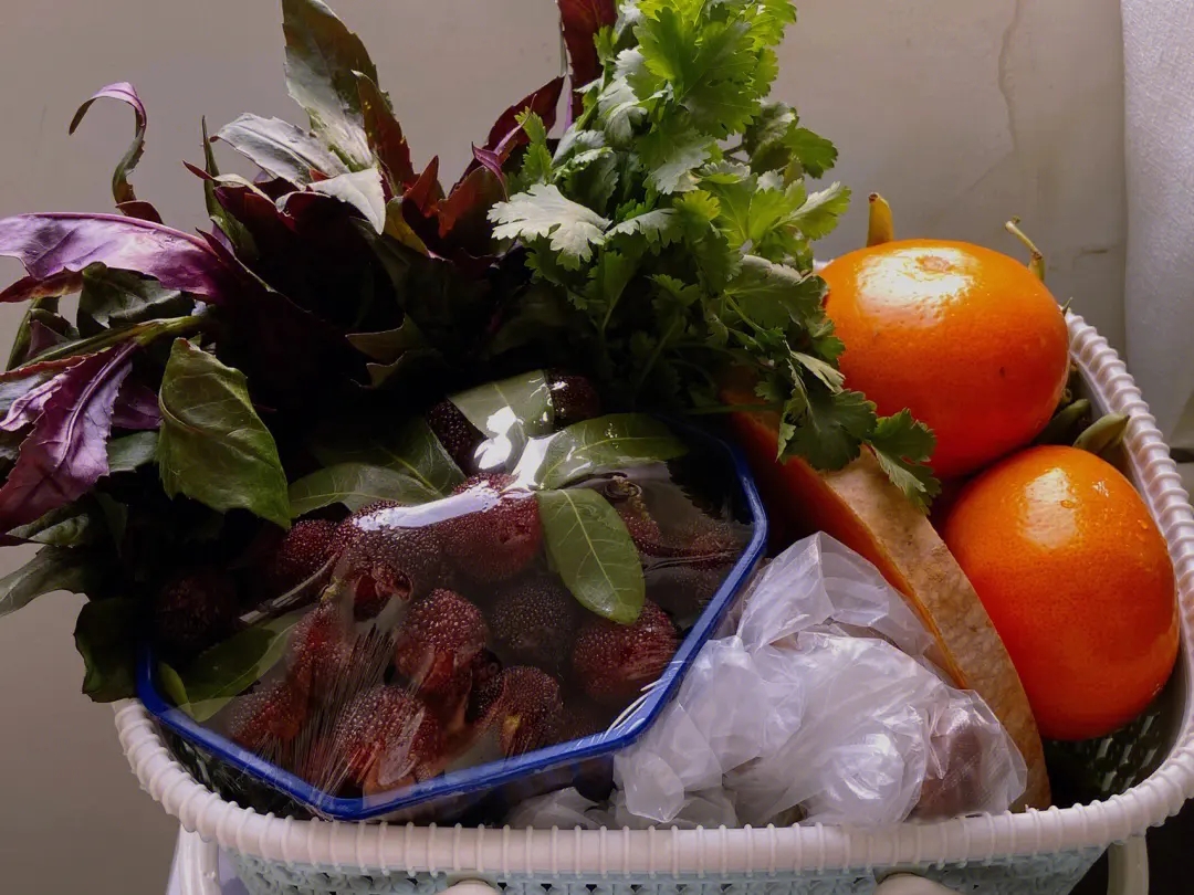 母親的菜籃子 母親的菜籃子