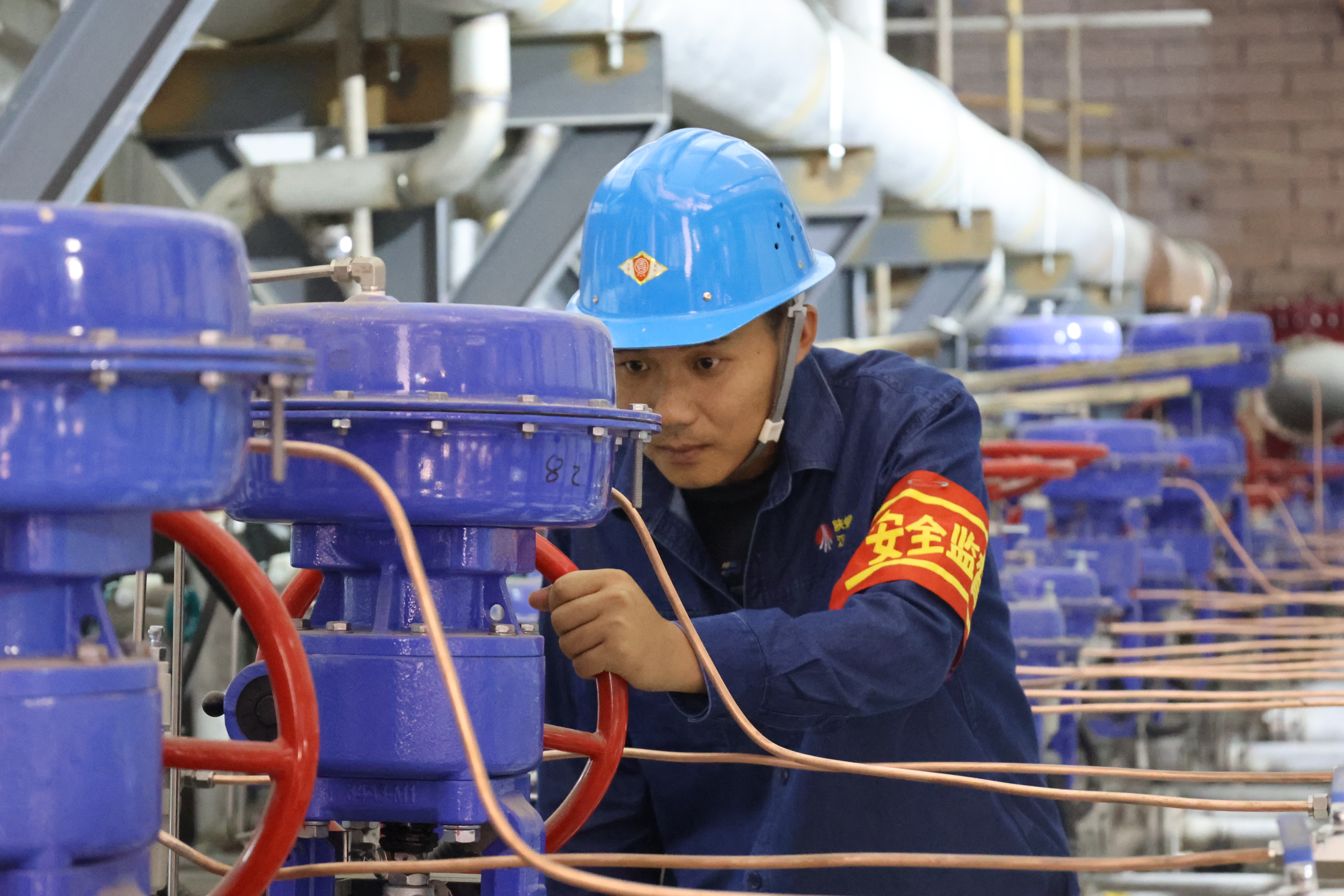 һ�l��ȫ�������o(h��)���|(zh��)���Ŀ���O(sh��)���Ƹ��c��