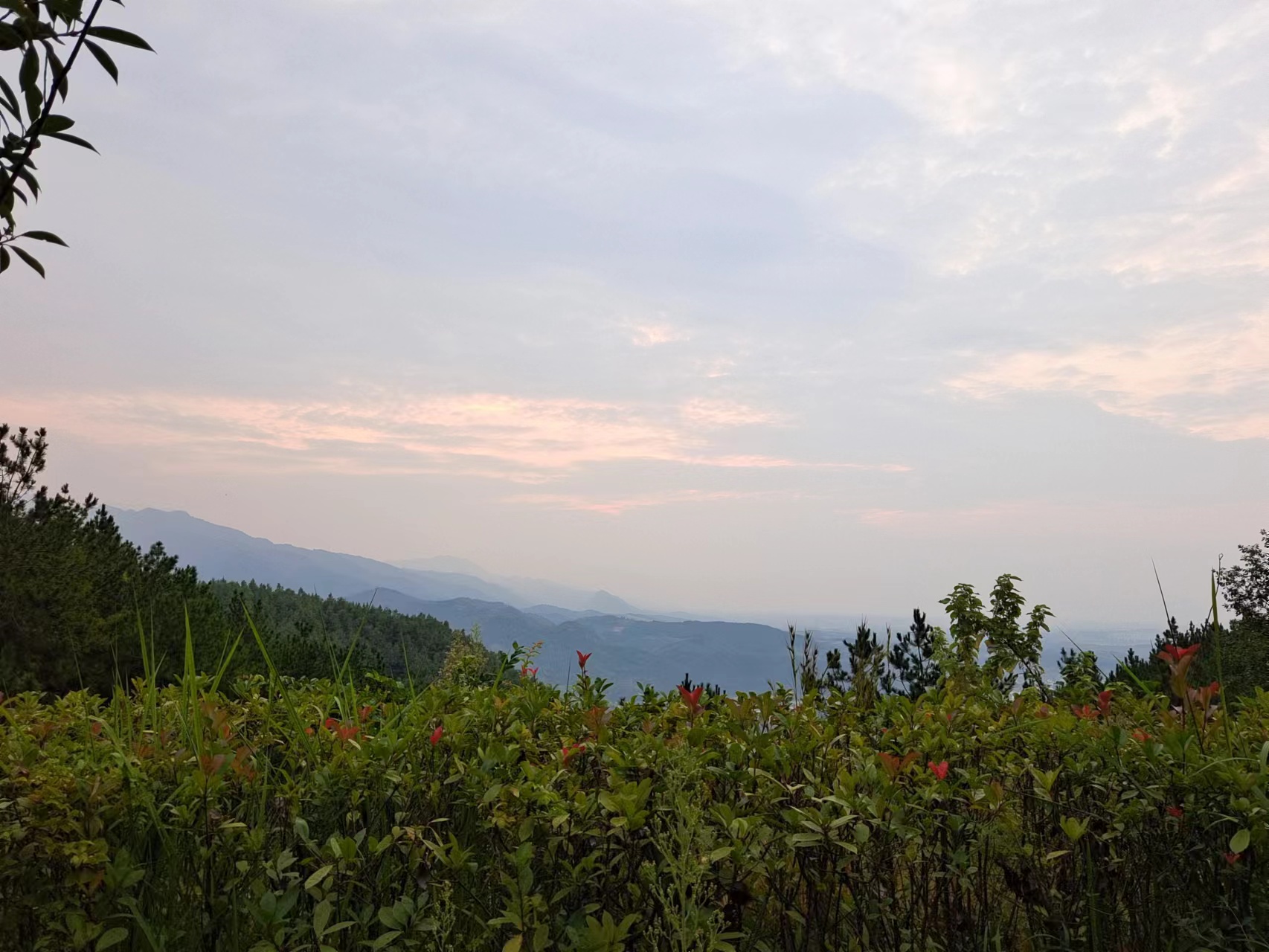 ��ؓ������ؓ��